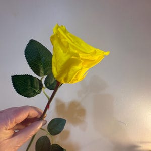 May include: A single yellow rose with green leaves and a brown stem. The rose is in full bloom, with its petals tightly furled. The leaves are a deep green, and the stem has small thorns. The rose is held against a neutral background.
