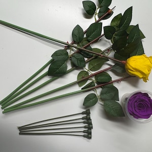 May include: A yellow rose with green leaves and stem, and a purple rose in a clear container. Several green stems and a bundle of dark stems are also present. The items are arranged on a white surface.