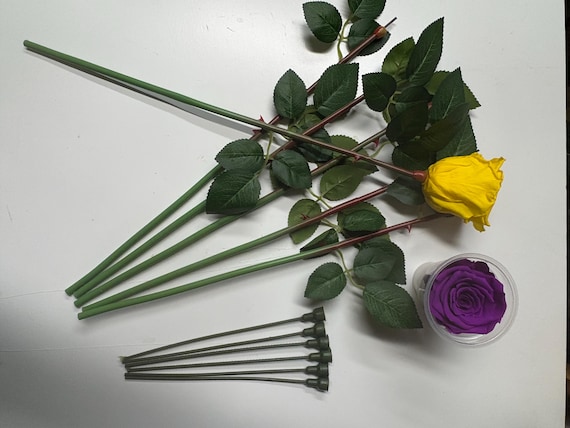 Plastic Rose Stems for Preserved Roses: DIY Floral Supplies - 8 Inch and 15 inch