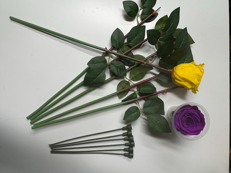 May include: A yellow rose with green leaves and stem, and a purple rose in a clear container. Several green stems and a bundle of dark stems are also present. The items are arranged on a white surface.