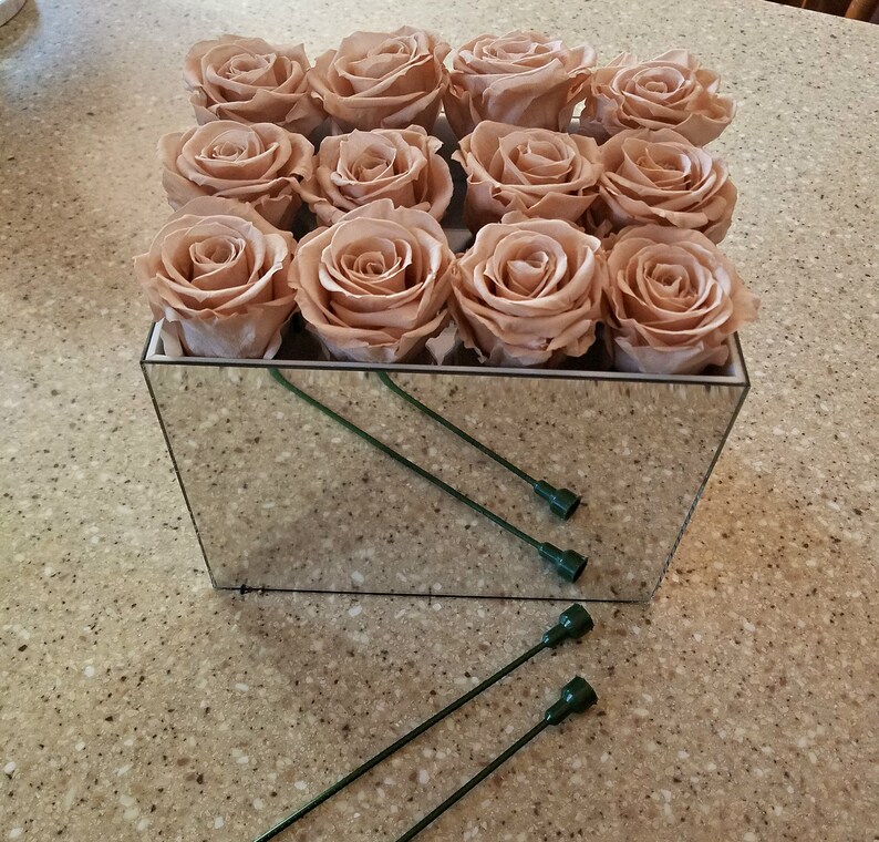 May include: A square mirrored box filled with twelve light brown roses. The roses are arranged in a grid pattern. Two green floral wire stems are visible, lying on the surface. The box reflects the surrounding environment.