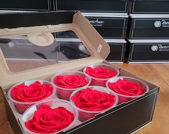 Bright Red Preserved Rose Six Packs (Fire  Red)