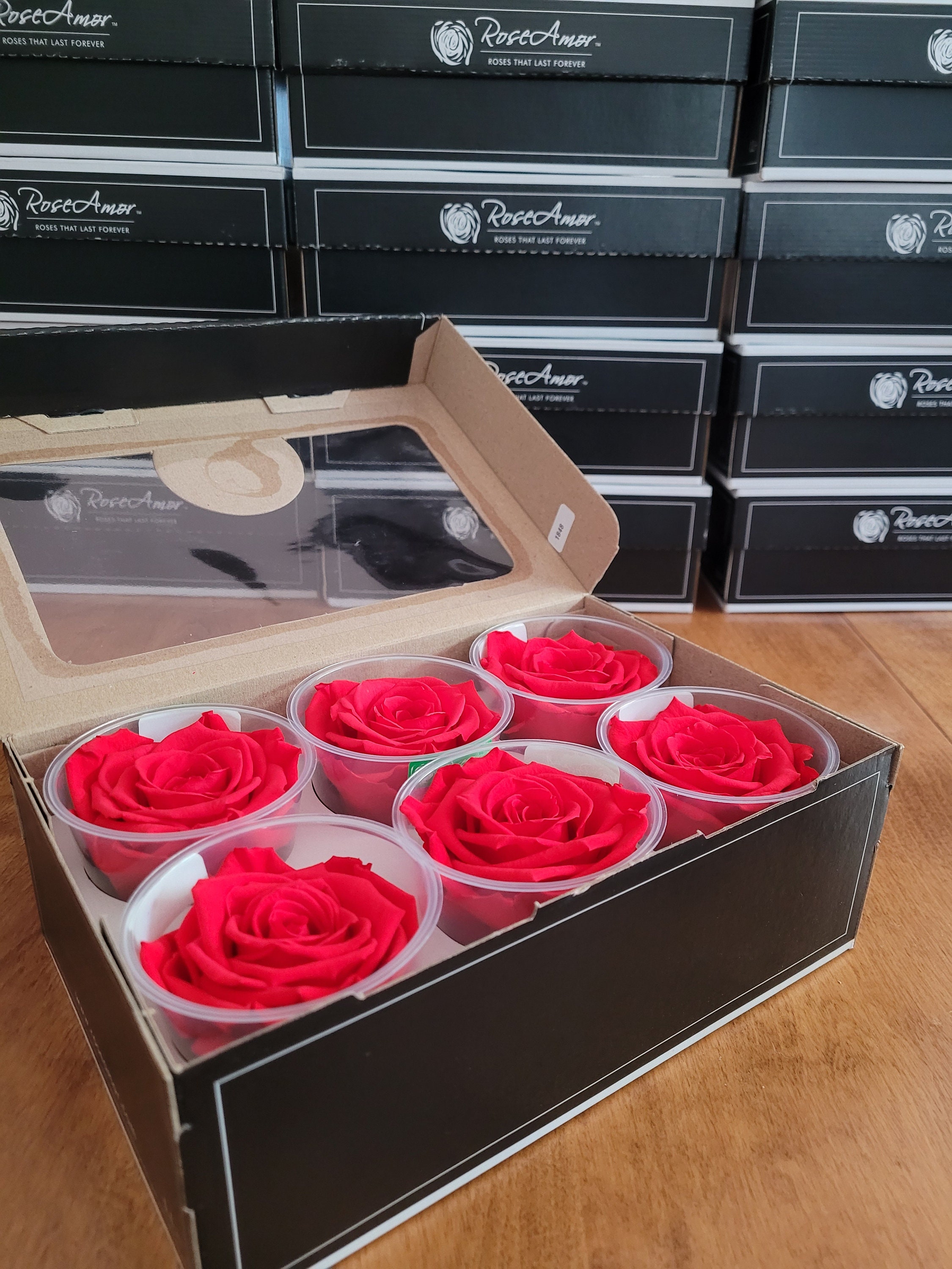 Bright Red Preserved Rose Six Packs (Fire  Red)