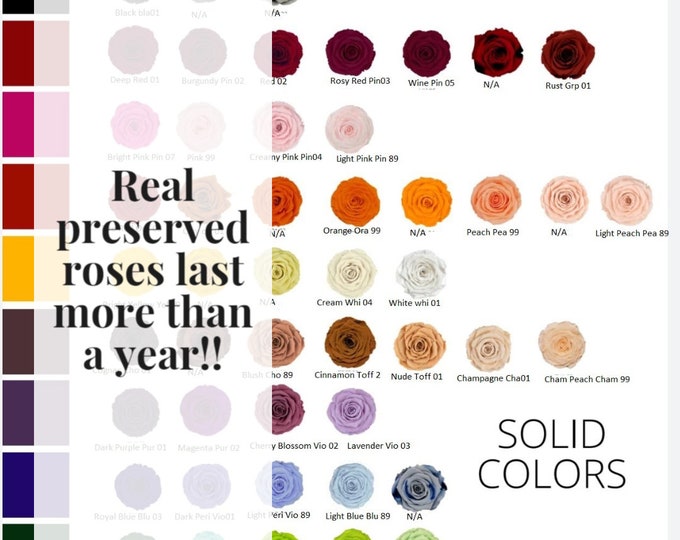 Petite Preserved Roses Wholesale Preserved Roses Wholesale Eternity