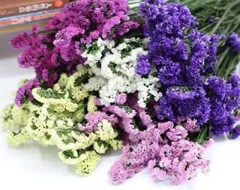 Dried flower bunches - Sinuata Statice in Purple, Lavender, Dark Pink, White, and Light Yellow