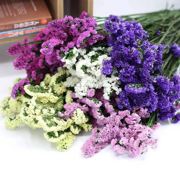 Dried flower bunches - Sinuata Statice in Purple, Lavender, Dark Pink, White, and Light Yellow