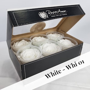White Preserved Rose Six Packs