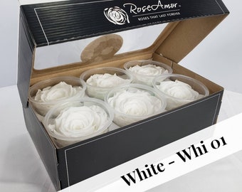 White Preserved Rose Six Packs