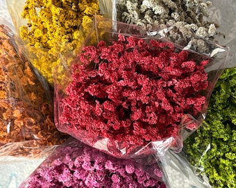 Wholesale Preserved Limonium Flower Bunch - Dried Floral Arrangement
