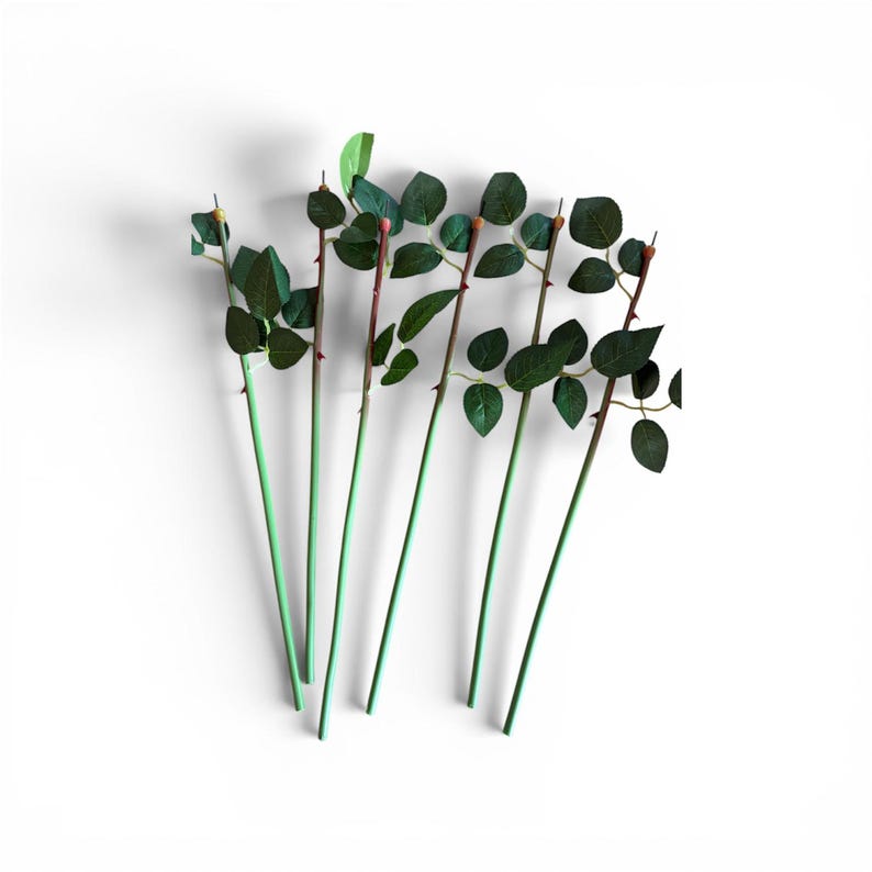 May include: Several artificial rose stems with green leaves and thorns are arranged on a white surface. The stems are a light green color, transitioning to a reddish-brown where the leaves and thorns are attached.