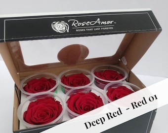 Preserved Rose Six Packs in Deep Red