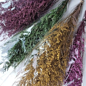 Wholesale Preserved Caspia Flower Bunches in Green, Burgundy, and Gold