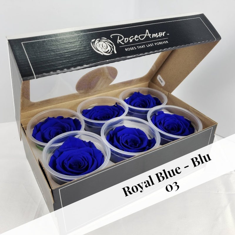Blue Roses - Etsy