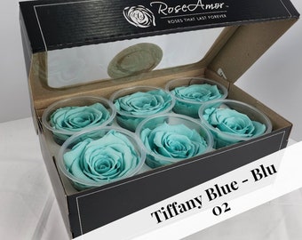 Preserved Rose Six Packs in Tiffany Blue