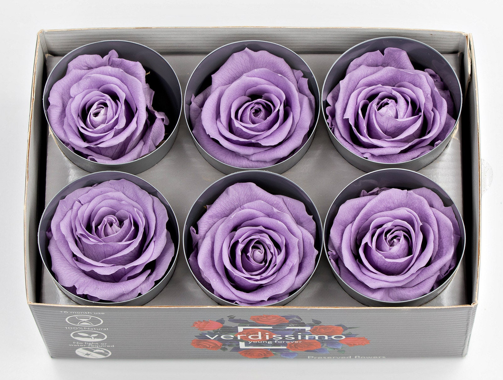 Preserved roses by Verdissimo are high quality best seller Etsy