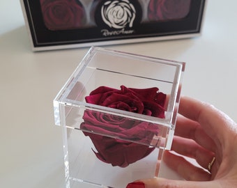 Single preserved rose in acrylic box: Wholesale pricing