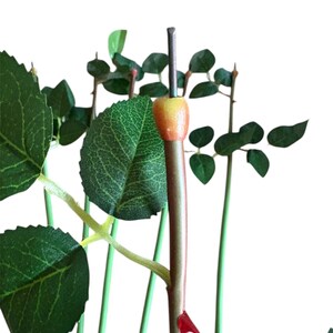 May include: Close-up of artificial rose stems with green leaves and a bud. The stems are a mix of green and brown, with a red thorn. The bud is a mix of yellow and orange. The leaves are a deep green color.