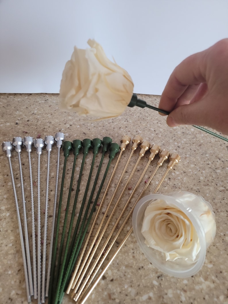 May include: A hand holding a cream-colored rose on a green stem, with various floral stem pins in silver, green, and gold. A preserved rose is in a clear plastic container. Floral arrangement supplies.