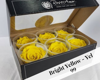 Yellow Preserved Rose Six Packs