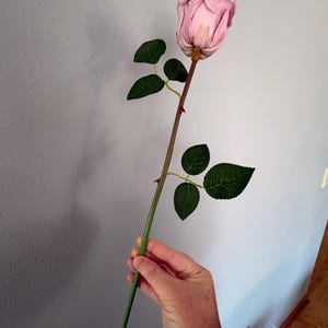 May include: A single artificial rose with a light pink bloom and green leaves. The stem is a dark brown color, transitioning to green. The rose is held against a light blue wall.