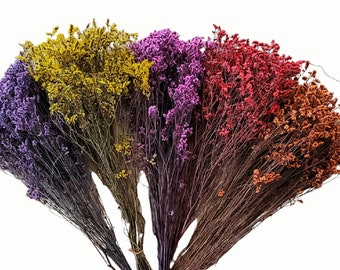 Preserved flower bunches - Limonium flower in Red, Yellow, pink, Orange, Purple, and White