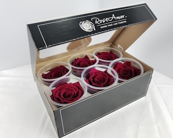 Wine Preserved Rose Six Packs