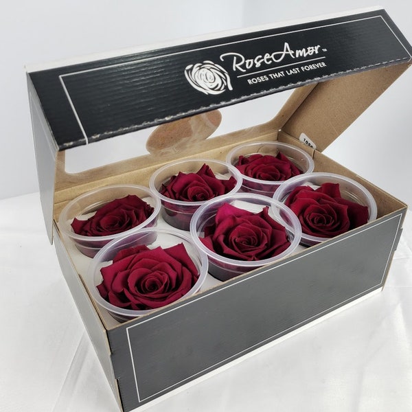 Red Luxury Ecuadorian Preserved Rose Six Packs