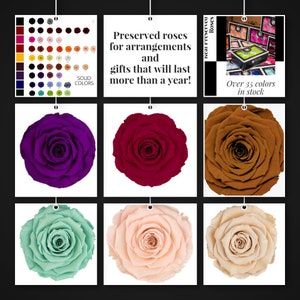 Preserved Rose Six Packs, make your own Mother's Day gifts image 10