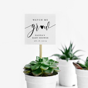 Puede incluir: Tres peque&ntilde;as macetas blancas con una planta suculenta cada una. La maceta delantera tiene un letrero que dice "Watch Me Grow" con "Hanna's Baby Shower" y la fecha 08.16.2019. Las plantas tienen hojas verdes.
