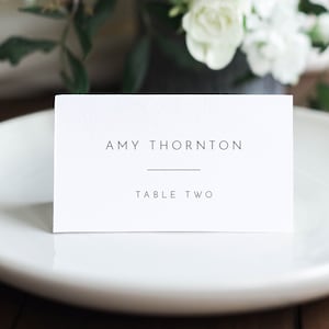 Minimalist Place Card Template, Printable Modern Simple Wedding Buffet Card & Meal Option, INSTANT DOWNLOAD, Editable, Templett #094-156PC