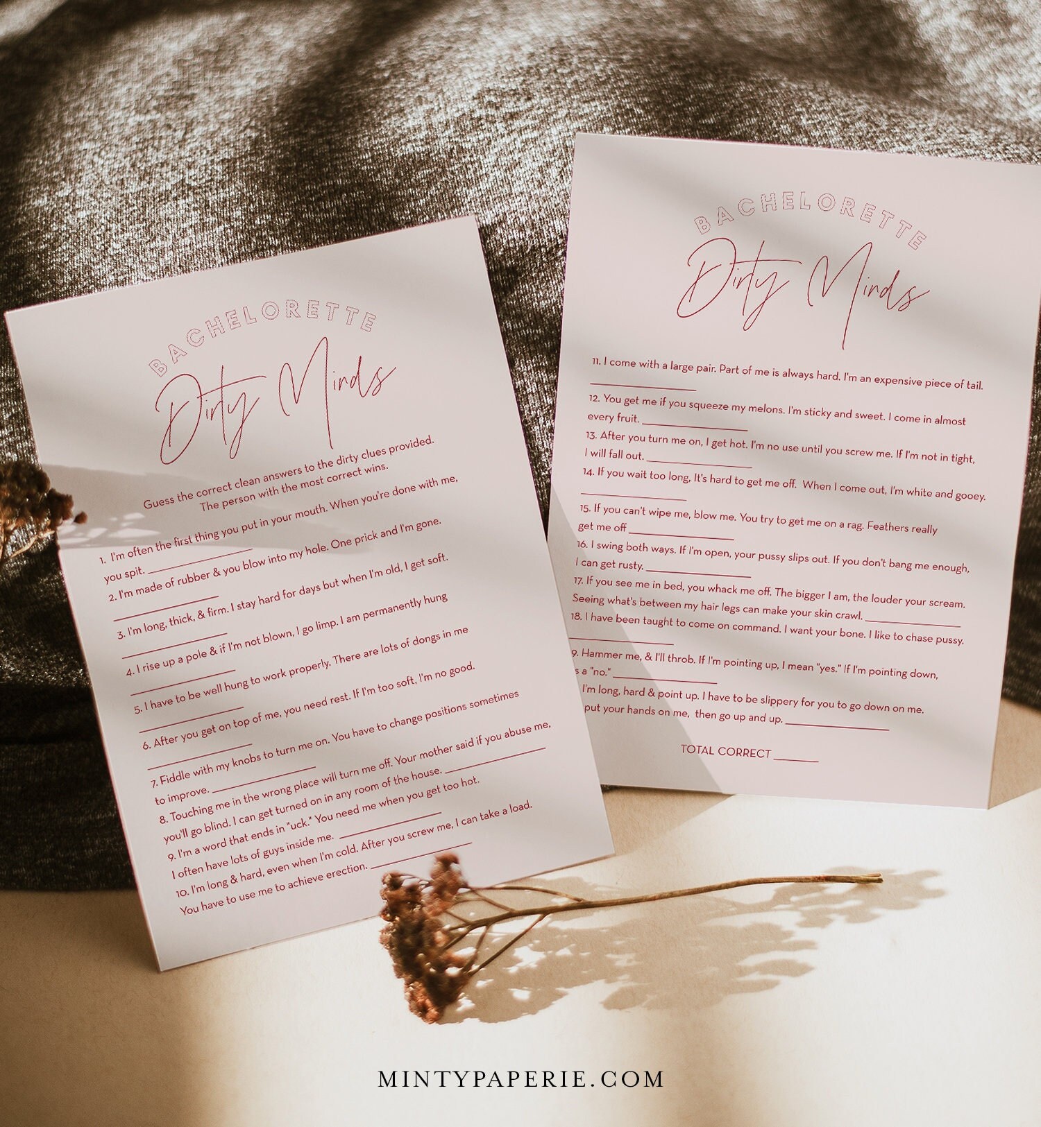 Dirty Minds Game, Hen Do Party, Dirty Bachelorette Riddle Game, Modern ...