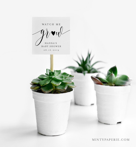 Baby Shower Favor Tag, Baby Grow Plant Favor, Succulent Favor, 100% Editable Template, Instant Download, Templett #008-130SF