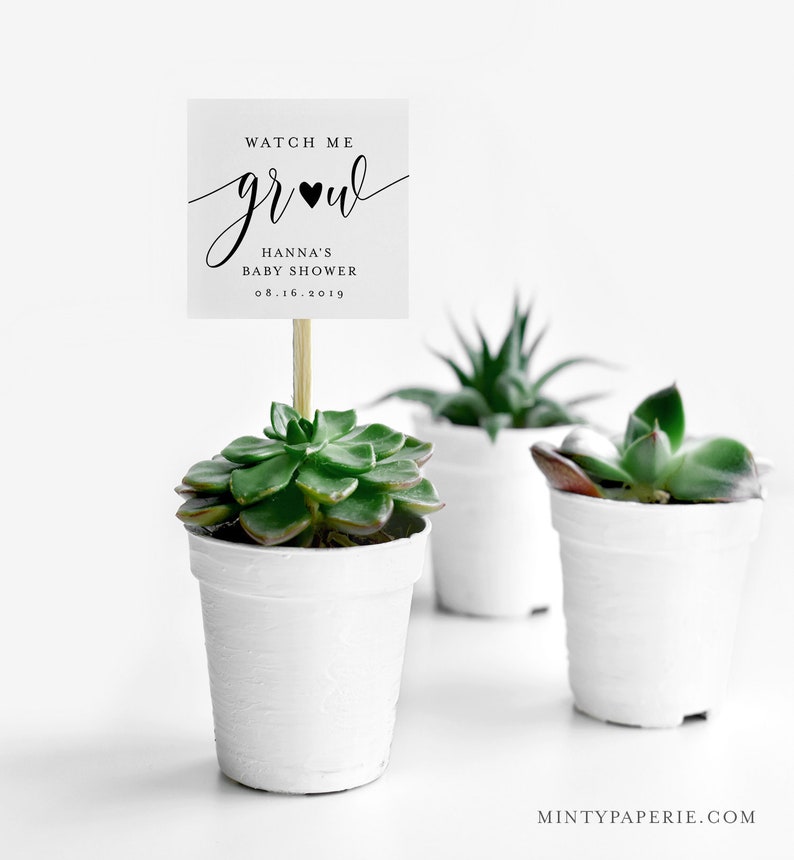 Puede incluir: Tres peque&ntilde;as macetas blancas con una planta suculenta cada una. La maceta delantera tiene un letrero que dice "Watch Me Grow" con "Hanna's Baby Shower" y la fecha 08.16.2019. Las plantas tienen hojas verdes.