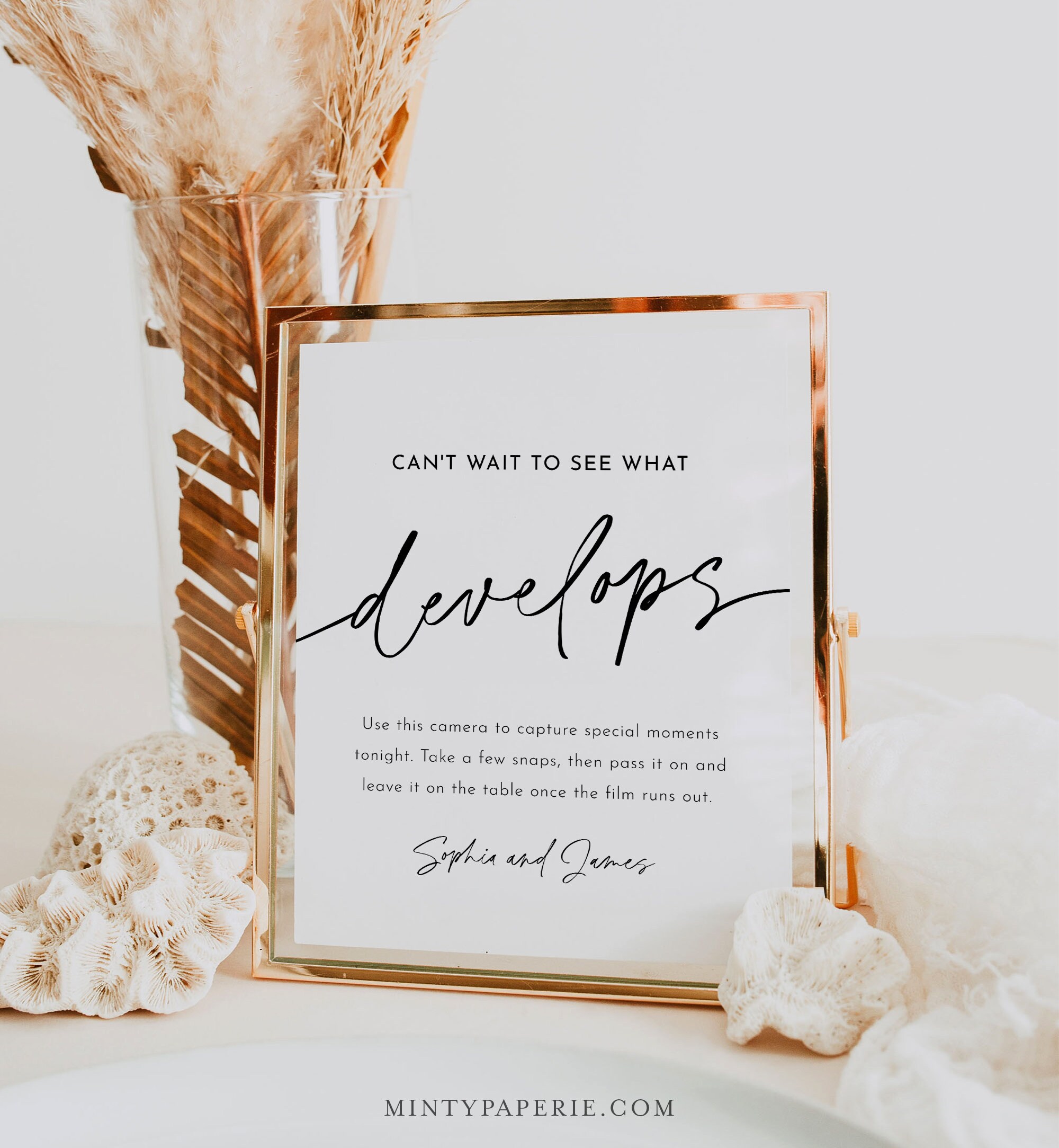 Wedding Disposable Camera Sign Can't Wait to See What - Etsy