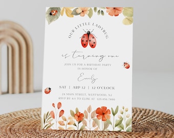 Ladybug Birthday Party Invitation, Love Bug Girl 1st Birthday Invite, Editable Template, Templett #0069-146BD