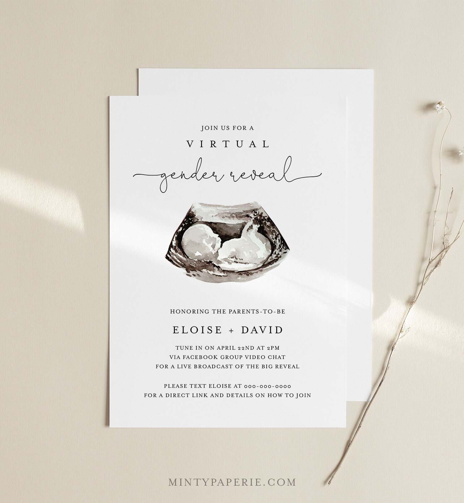 Virtual Gender Reveal Invitation Template, Social Distance Gender