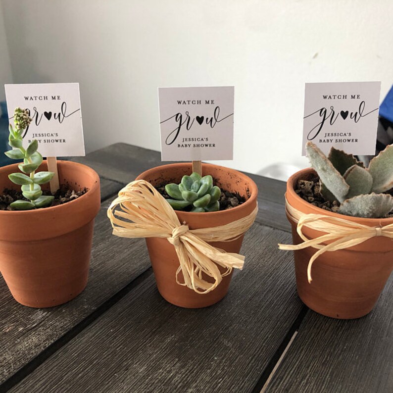 Puede incluir: Tres peque&ntilde;as macetas de terracota, cada una con una planta suculenta. Cada maceta tiene un peque&ntilde;o letrero que dice "WATCH ME grow" y "JESSICA'S BABY SHOWER". La maceta del medio est&aacute; decorada con un lazo de rafia.