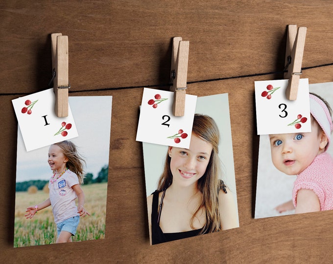 How Old Were They Game, Winter Bridal Shower Game, Holly and Greenery, Baby Photo Game, Guess the Ages, Instant Download  #071-189BG