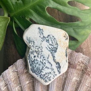Könnte beinhalten: Ein kleiner, unregelmäßig geformter, cremefarbener Stein mit einem schwarzen, blütenartigen Muster. Der Stein liegt auf einer strukturierten, hellbraunen Muschelschale, mit einem grünen Blatt im Hintergrund. Das Design des Steins ähnelt einem zarten, abstrakten botanischen Druck.