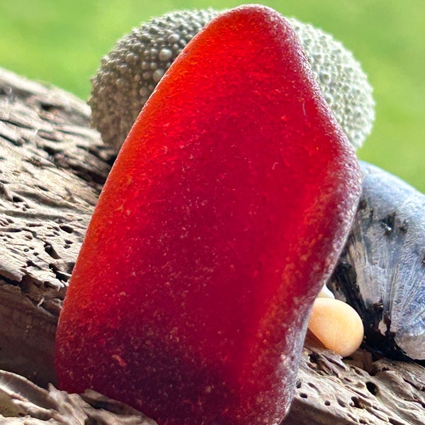 Scottish rare red seaglass piece beautiful beach finds red seaglass