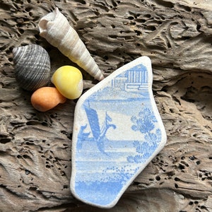 Könnte beinhalten: Eine Sammlung von Muscheln und ein Stück blau-weißer Keramik mit nautischem Design. Das Keramikfragment zeigt ein Segelboot und ein Gebäude. Die Muscheln umfassen eine Spiralmuschel, eine gestreifte Muschel und zwei kleine, glatte Steine.