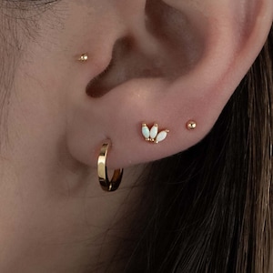 Huggie Hoop Earrings, Huggies, Small Gold Hoops, Hoop Earrings, Small Hoops, Gold Hoops, Small Gold Hoops, Silver Hoops, Gift for Her