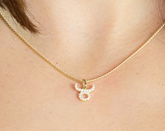 Taurus Necklace, Taurus Zodiac Sign, Zodiac Jewelry, Taurus Birthday Gift, Taurus Pendant Necklace, Taurus Jewelry, Astrology Necklace