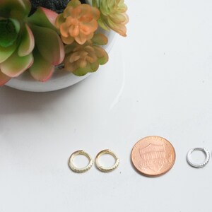Puede incluir: Dos pares de peque&ntilde;os pendientes de aro, un par es dorado y el otro es plateado. Los pendientes est&aacute;n adornados con peque&ntilde;as piedras brillantes. Se incluye una moneda de un centavo para comparar el tama&ntilde;o.