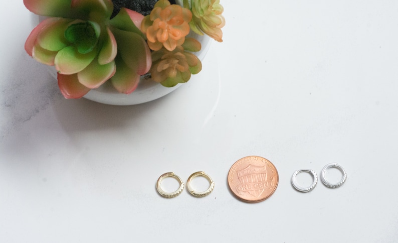 Puede incluir: Dos pares de peque&ntilde;os pendientes de aro, un par es dorado y el otro es plateado. Los pendientes est&aacute;n adornados con peque&ntilde;as piedras brillantes. Se incluye una moneda de un centavo para comparar el tama&ntilde;o.