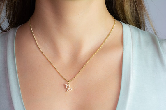 Capricorn Zodiac necklace Capricorn Zodiac necklace