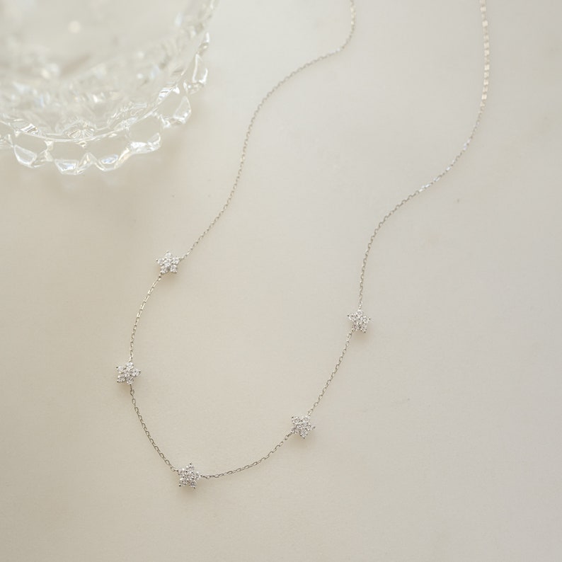 Pu&ograve; includere: Una collana a catena d'argento con cinque piccoli ciondoli a forma di stella, ognuno incastonato con pietre di zircone cubico trasparenti.