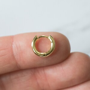 May include: A small, gold-toned hoop earring. The earring is simple and minimalist in design.