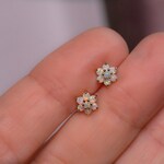 Stud Earrings