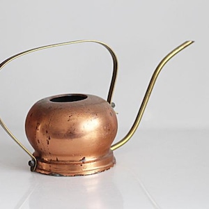 Nice watering can for cacti and pot plants, copper - Decoration